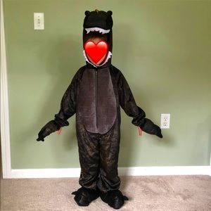 Dinosaur costume Size 5T